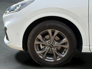 Ford Kuga 2.5 Duratec FHEV ST-Line Auto 132 kW (180 CV)