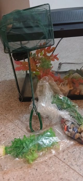 Acuario/Terrario Negro y Transparente