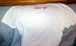Camiseta Chicago Bulls NBA