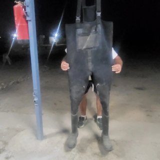 Mono negro