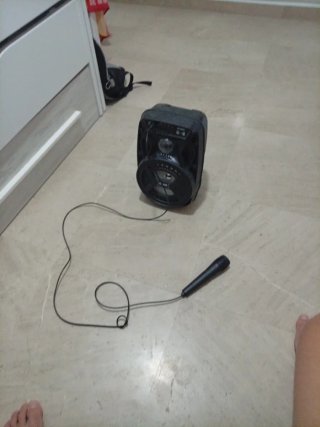 Altavoz DHG con micrófono