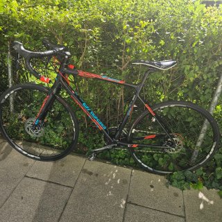 LIV BRAVA SLR 2017