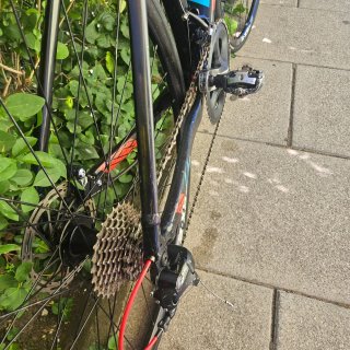 LIV BRAVA SLR 2017