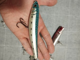 Lotes señuelos pesca depredador mar