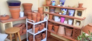 Lote de macetas de terracota y cerámica