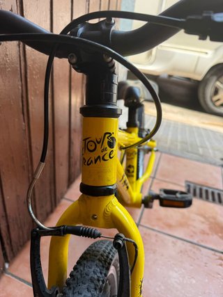 Bicicleta Frog 44 Tour de francia edicion limitada
