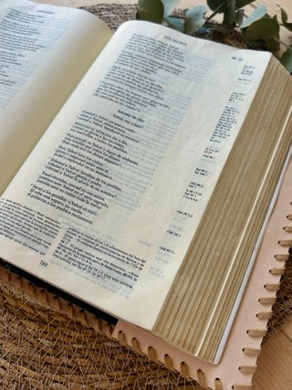 Funda piel personalizada para Biblia