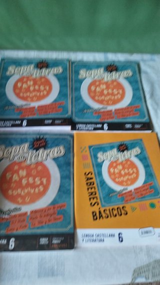 Libros de sexto de primaria