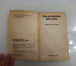 Una promessa nel vento di Perdita Shepherd