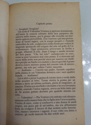 Una promessa nel vento di Perdita Shepherd