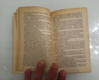 Una promessa nel vento di Perdita Shepherd
