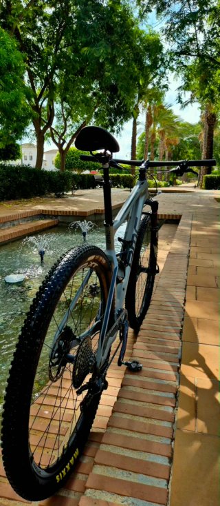 29" Bicicleta de montaña doble suspensión carbono