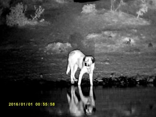 Monocular nocturno con linterna infrarroja