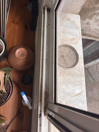 Limpieza detallada del piso al techo