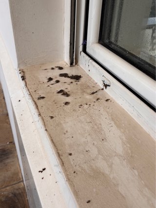 Limpieza detallada del piso al techo