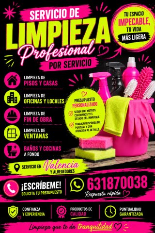 Limpieza profesional