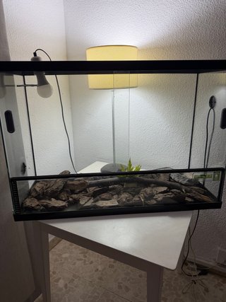 Terrario Reptiles Como Nuevo