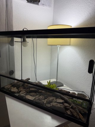 Terrario Reptiles Como Nuevo