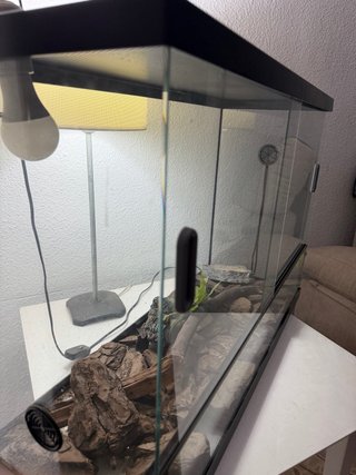 Terrario Reptiles Como Nuevo