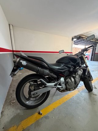Moto Honda Hornet 600