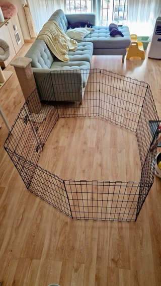 Parque/corral plegable Amazon Basics
