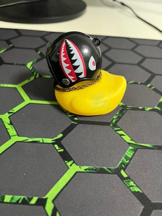 Pato Kawaii con Casco y Gafas