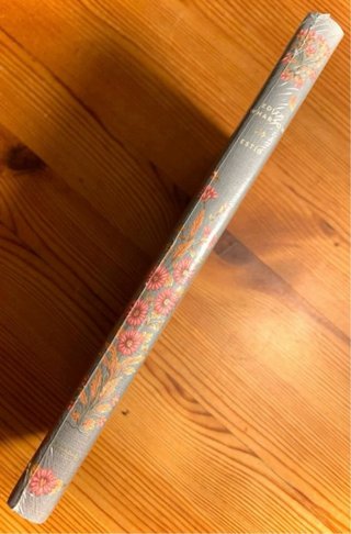 Libro: “ESTÍO” Edith Wharton