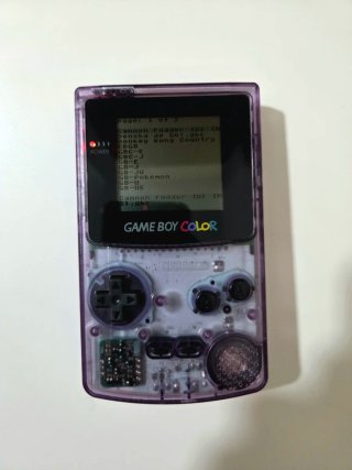 Nintendo GameBoy Color + Everdrive