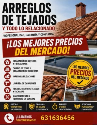 Reparamos tejados , humedades , canalones
