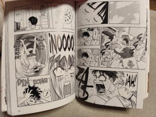 Colección completa manga I"s edición Kanzeban IS