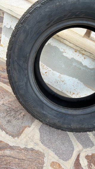 Gomma Triangle AgileXAT 245/65 R17 111T