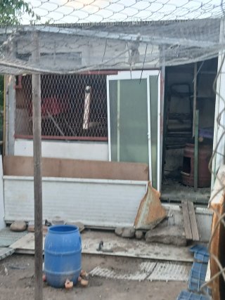 Gallinero exterior
