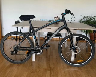 Bicicleta de Montaña
