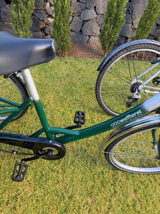 Bicicleta tres ruedas para Adultos WULFHORST