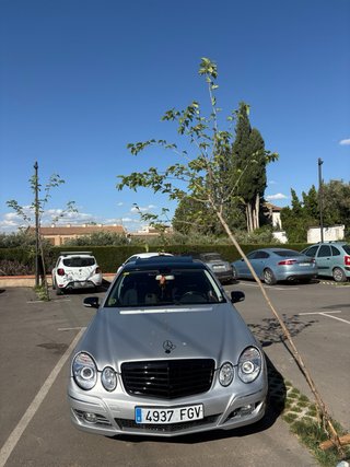 Mercedes-Benz Clase E 2006