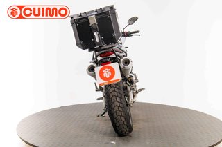 DUCATI SCRAMBLER 1100