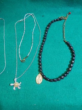 Collares con dijes de tortuga y medalla