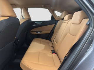 LEXUS NX 2.5 450H+ PHEV PREMIUM+ 4WD AUTO 292 5P