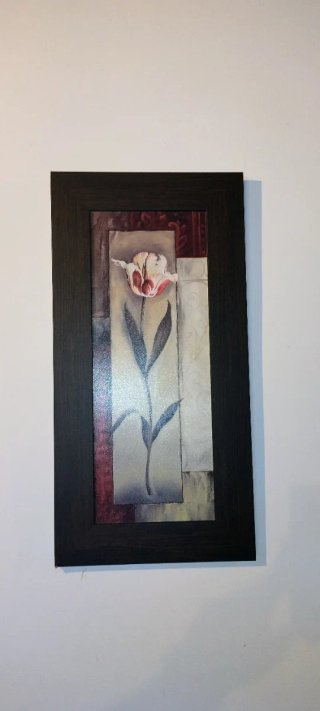 6 Cuadros Salón