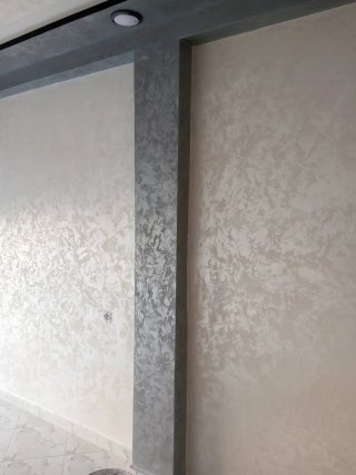 Pintor profesional de obra