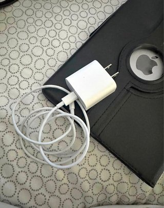 Cargador iPhone Original Apple