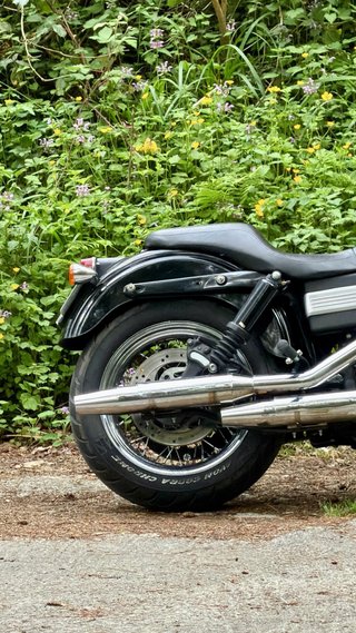 Harley Davidson Dyna Street Bob Negra