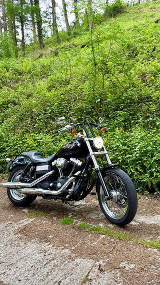 Harley Davidson Dyna Street Bob Negra