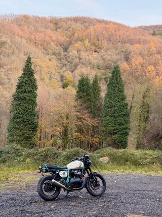Royal Enfield Bear 650 Verde/Blanco