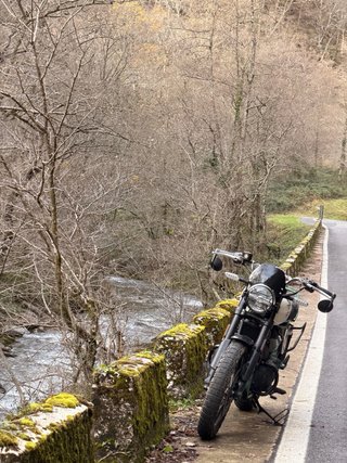 Royal Enfield Bear 650 Verde/Blanco