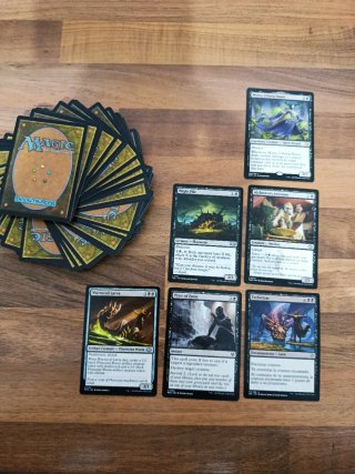 Cartas Magic: The Gathering