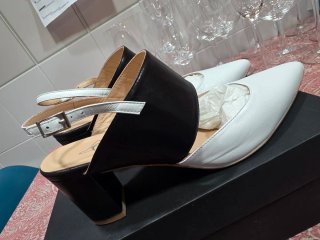 Zapatos Salón Puntiagudos Blanco y Negro