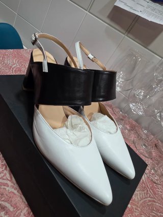 Zapatos Salón Puntiagudos Blanco y Negro