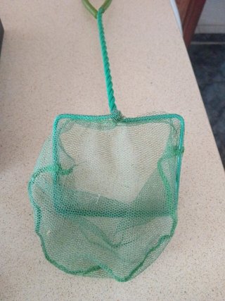 Vendo acuario /pecera