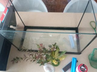 Vendo acuario /pecera